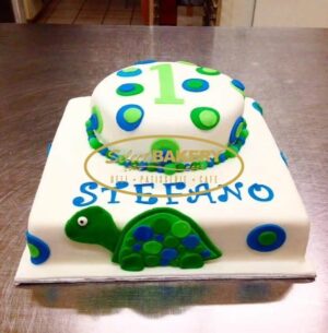 Birthday Cake – Turtle 502